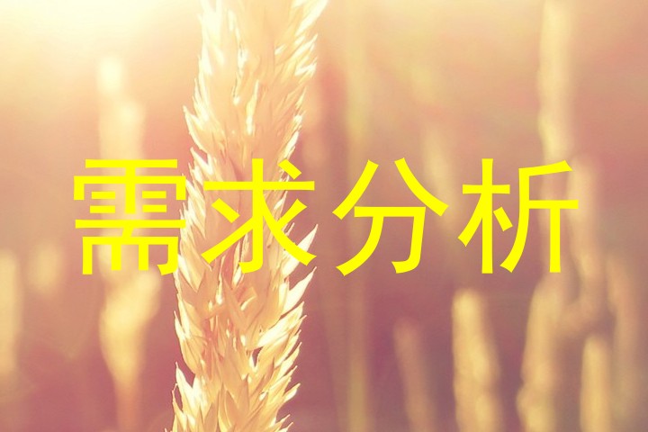 需求分析