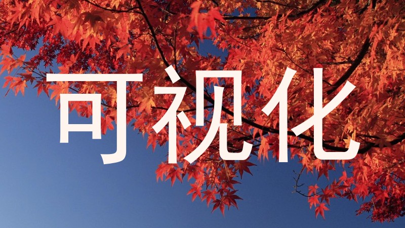 可视化