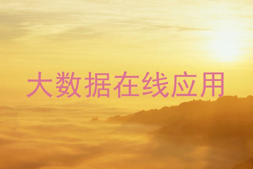 大数据在线应用