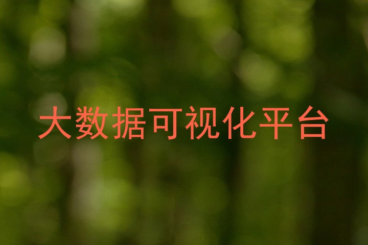 大数据可视化平台