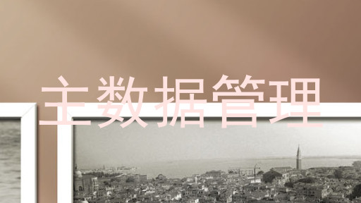 主数据管理