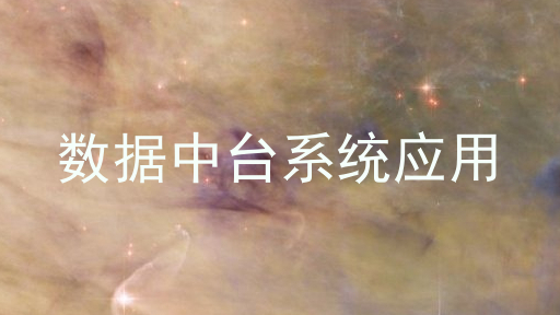 数据中台系统应用
