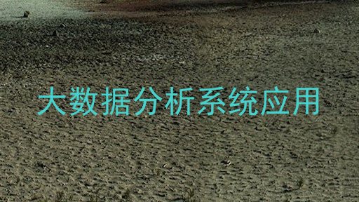 大数据分析系统应用