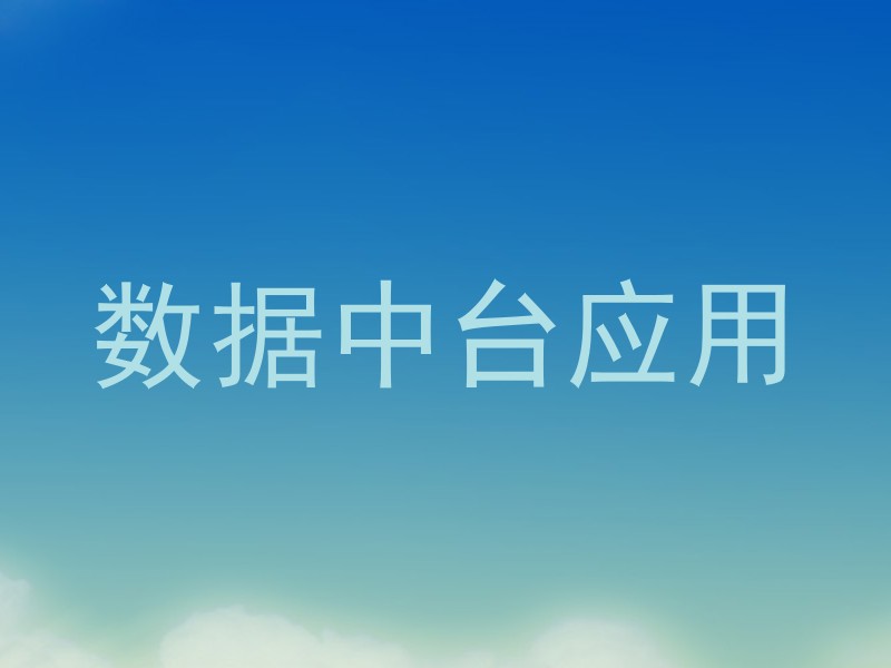 数据中台应用