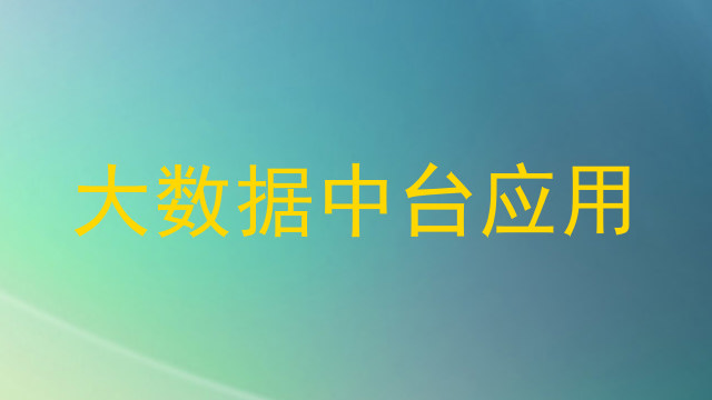 大数据中台应用