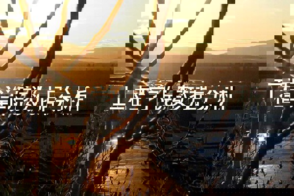 工程学院数据分析