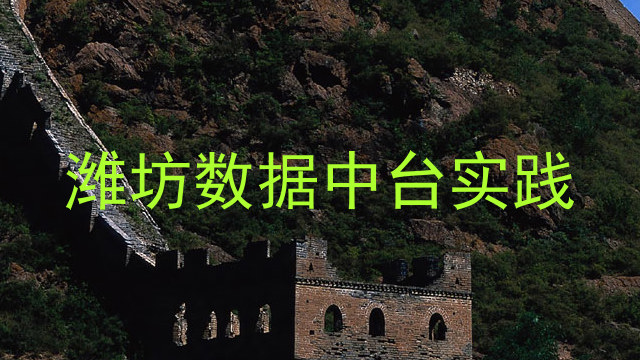 潍坊数据中台实践