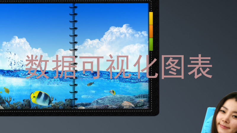 数据可视化图表