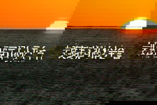 大数据可视化平台