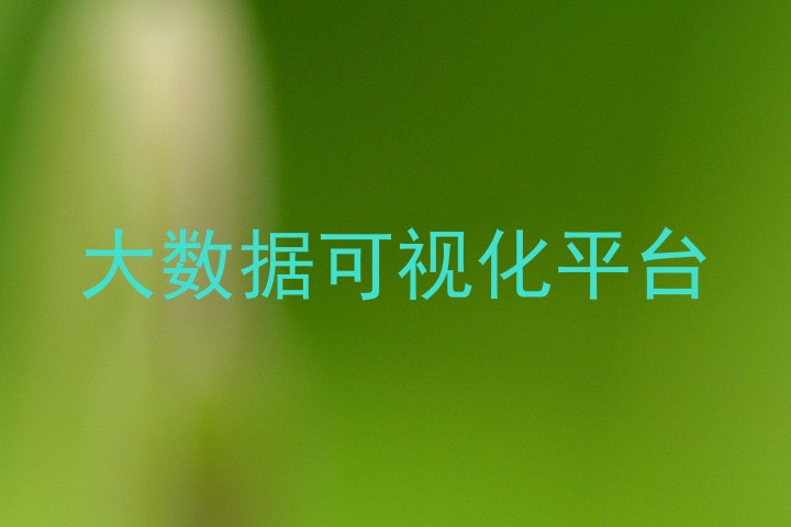 大数据可视化平台