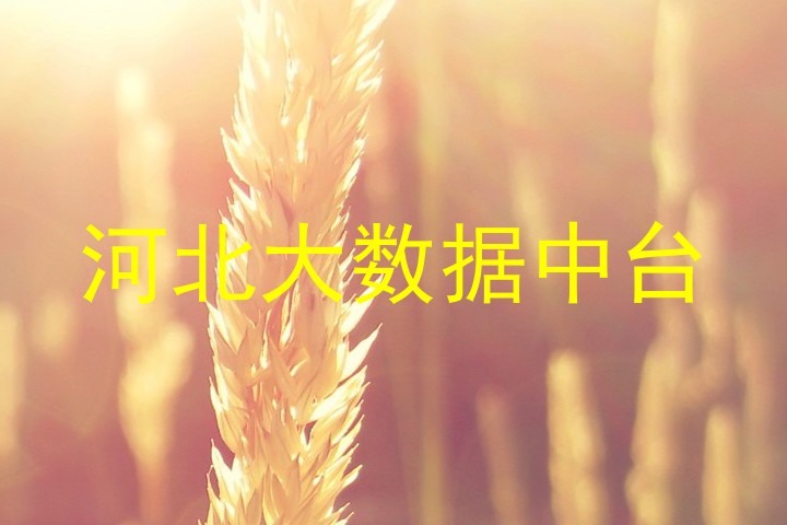 河北大数据中台