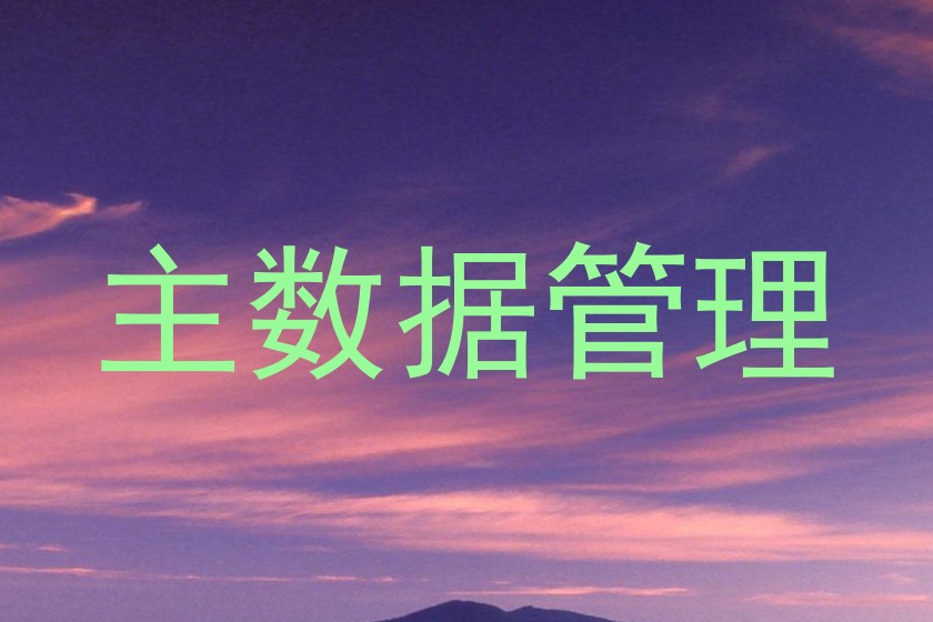 主数据管理