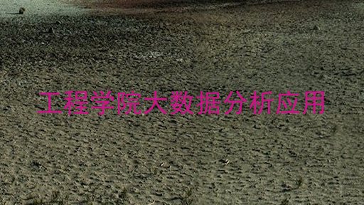 工程学院大数据分析应用