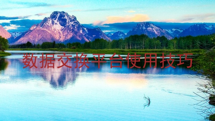 数据交换平台使用技巧