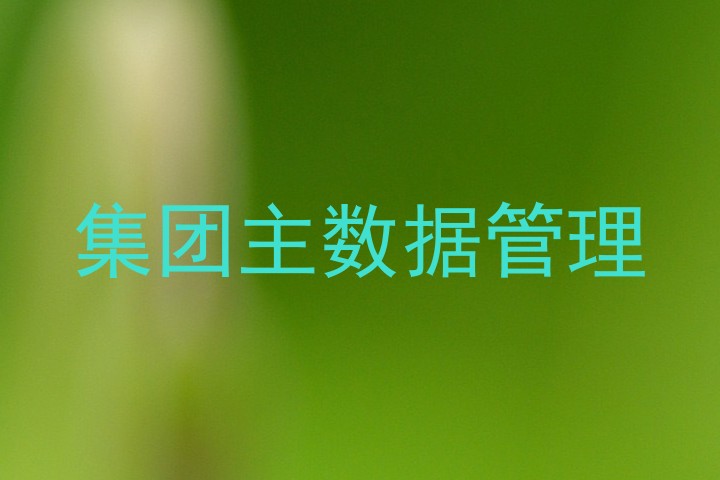 集团主数据管理