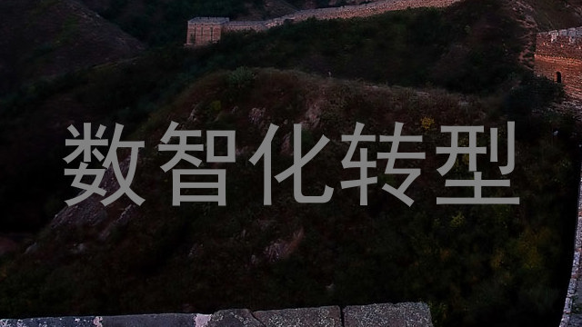 数智化转型