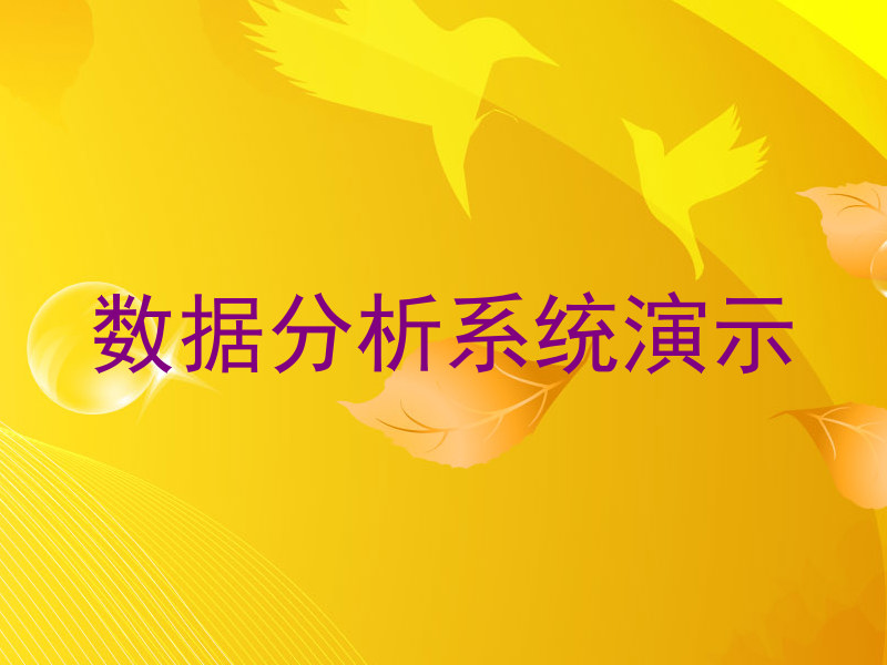 数据分析系统演示