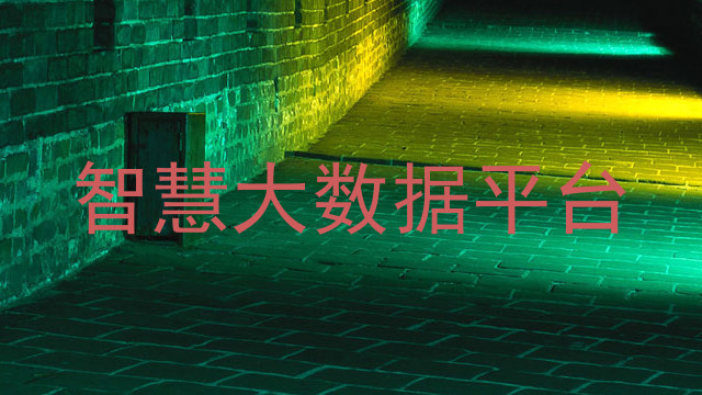 智慧大数据平台