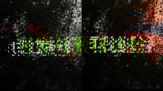 可视化数据分析
