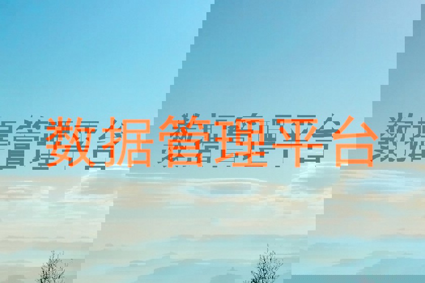 数据管理平台
