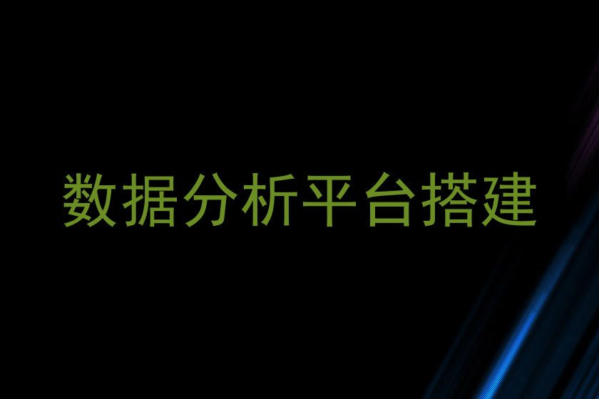 数据分析平台搭建