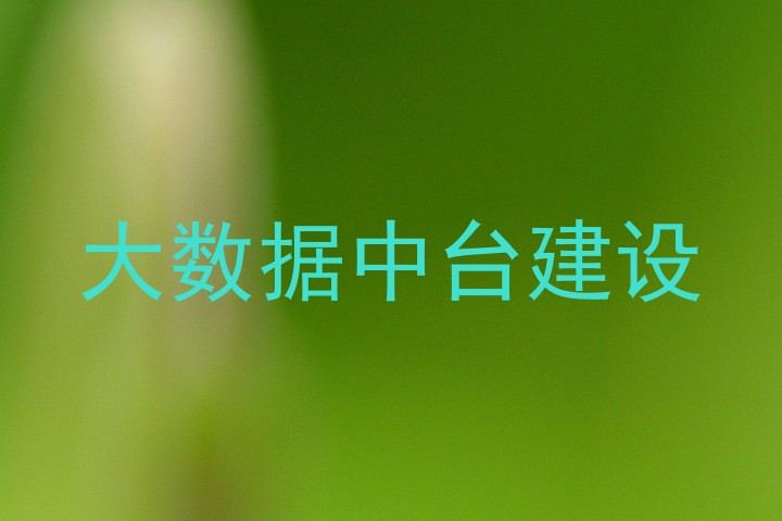 大数据中台建设