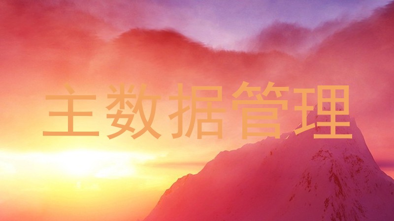 主数据管理