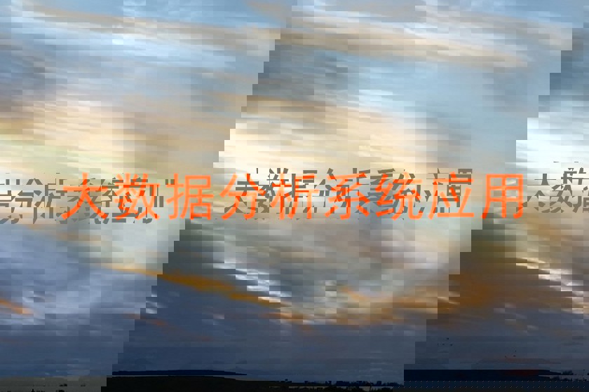 大数据分析系统应用