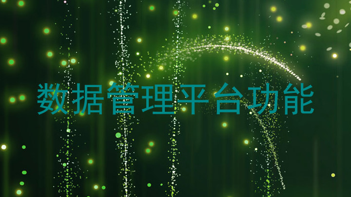 数据管理平台功能