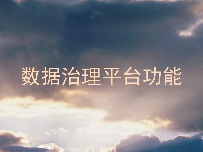 数据治理平台功能