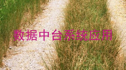 数据中台系统应用