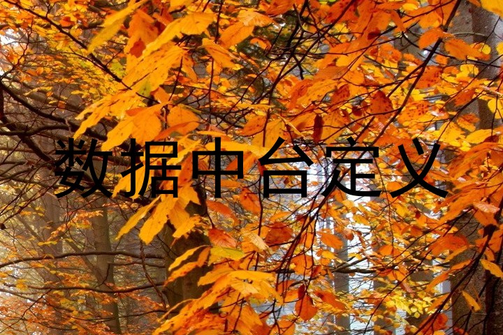 数据中台定义