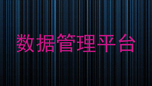 数据管理平台