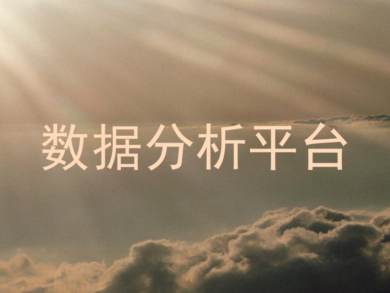 数据分析平台