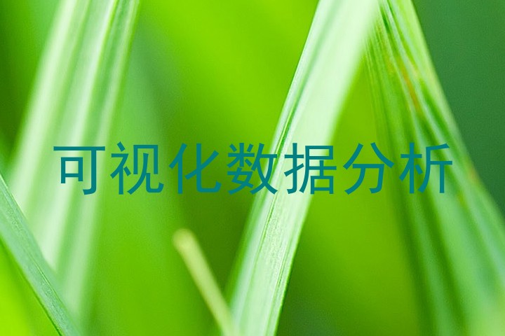 可视化数据分析