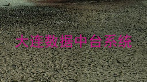 大连数据中台系统