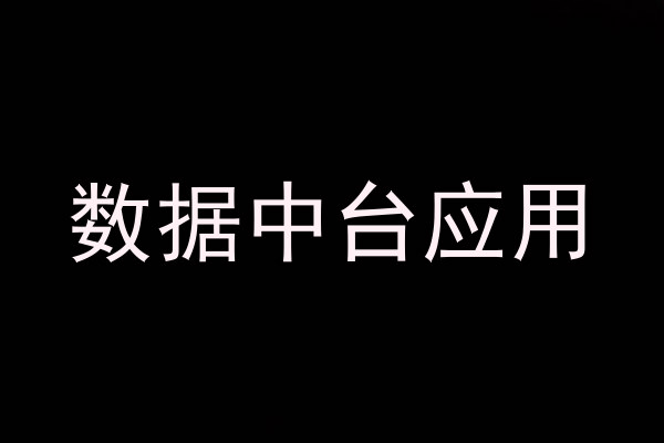 数据中台应用