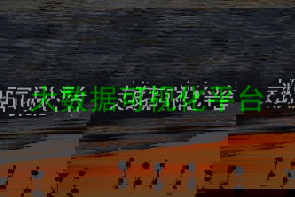 大数据可视化平台