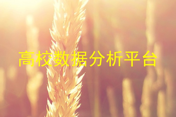 高校数据分析平台