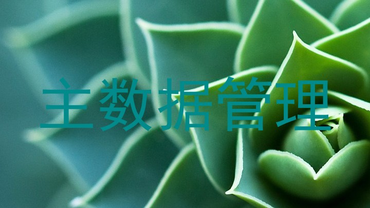 主数据管理