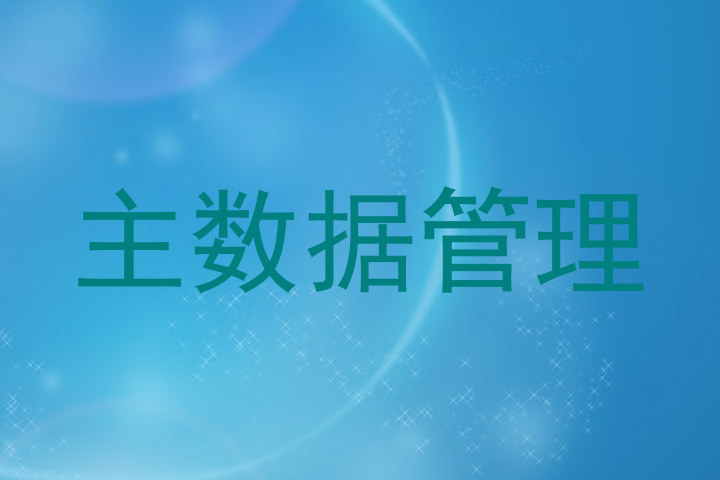 主数据管理