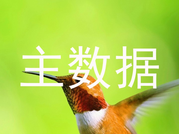 主数据