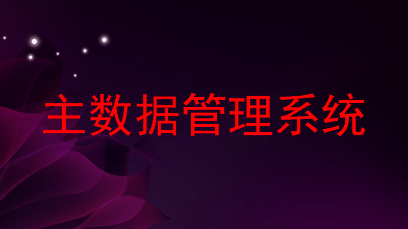 主数据管理系统