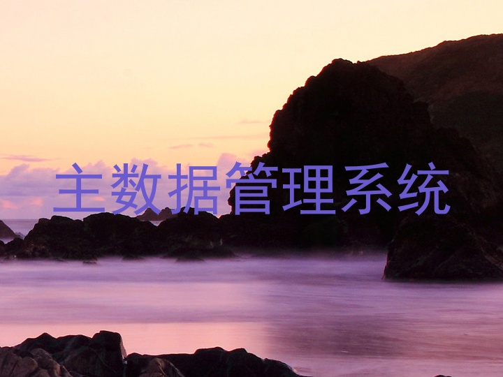 主数据管理系统