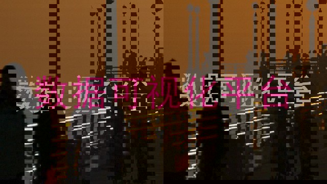 数据可视化平台