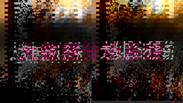 大数据分析系统
