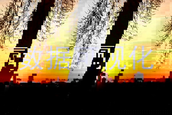 数据可视化