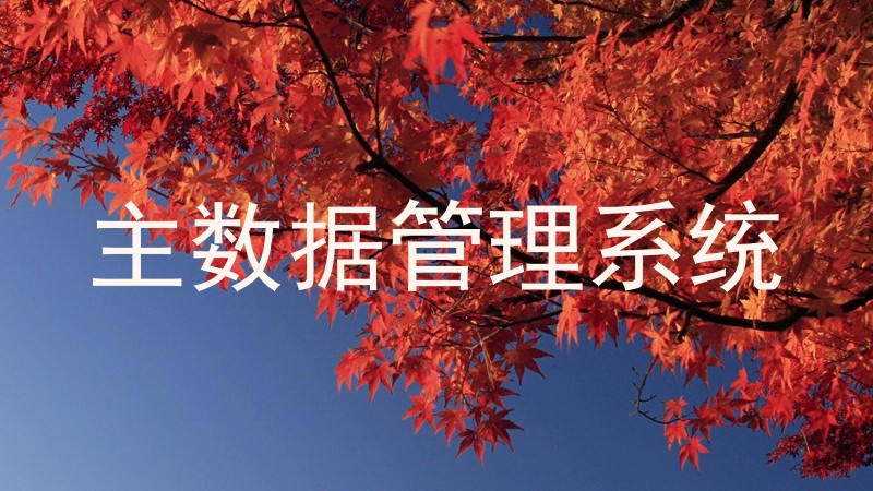 主数据管理系统
