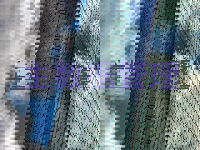 主数据管理