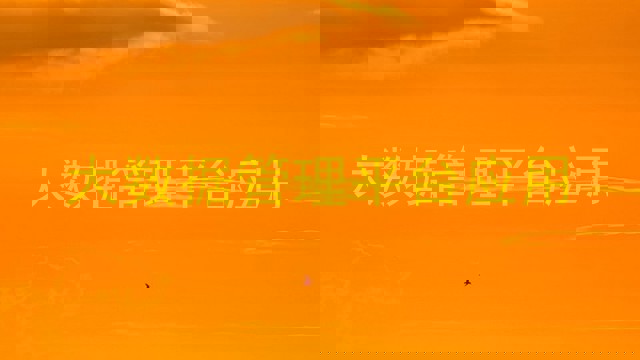 大数据管理平台应用